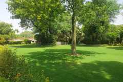 IMG-20230228-WA0001