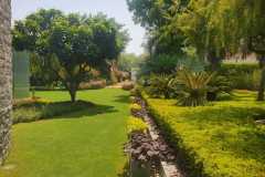 IMG-20230228-WA0002
