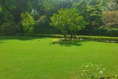 IMG-20230228-WA0005