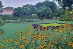 IMG-20230228-WA0015