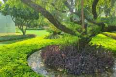 IMG-20230228-WA0017