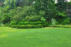 IMG-20230228-WA0018