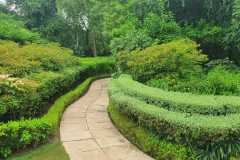 IMG-20230228-WA0023