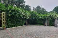 IMG-20230228-WA0026
