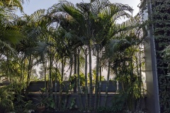 PXL_20230110_095437164